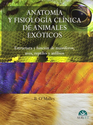 Stock image for ANATOMA Y FISIOLOGA CLNICA DE ANIMALES EXTICOS for sale by Zilis Select Books