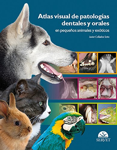 Stock image for Atlas visual de patologas dentales y orales en pequeos ani for sale by Iridium_Books