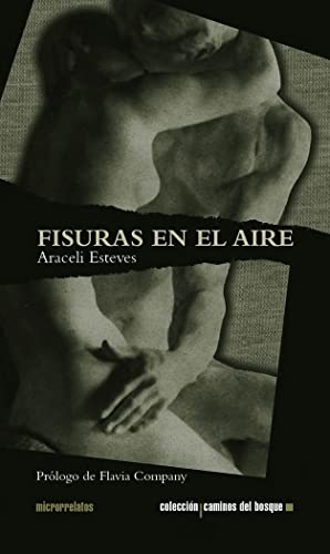9788493670993: Fisuras en el Aire (Caminos del bosque) (Spanish Edition)