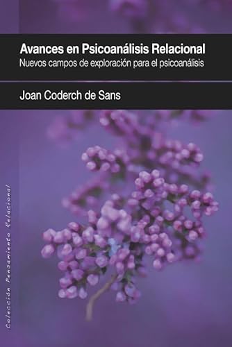 9788493965389: Avances en psicoanlisis relacional: Nuevos campos de exploracin para el Psicoanlisis