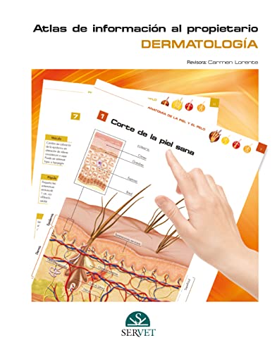 Stock image for DERMATOLOGA. ATLAS DE INFORMACIN AL PROPIETARIO for sale by Librerias Prometeo y Proteo