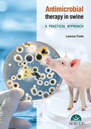 Imagen de archivo de Antimicrobial Therapy In Swine: A Practical Approach (Hb 2013) a la venta por Kanic Books