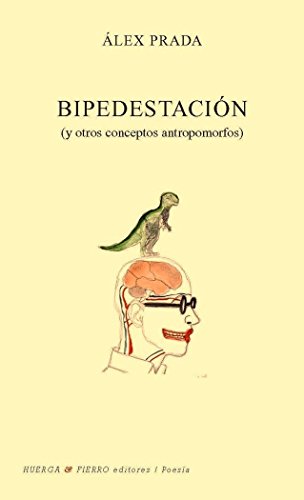 BIPEDESTACION Y OTROS CONCEPTOS ANTROPOMORFOS