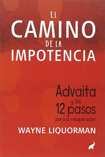 9788494133657: El Camino De La Importancia (BIBLIOTECA ADVAITA)