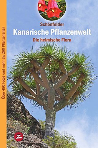 Stock image for Kanarische Pflanzenwelt: Die heimische Flora (Pflanzenwelt der Kanaren) for sale by medimops
