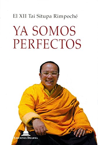 Imagen de archivo de YA SOMOS PERFECTOS a la venta por KALAMO LIBROS, S.L.