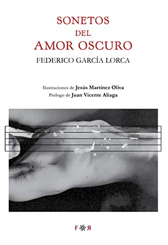 Beispielbild fr SONETOS DEL AMOR OSCURO zum Verkauf von KALAMO LIBROS, S.L.