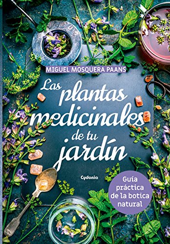 9788494832130: Las plantas medicinales de nuestro jardn: Gua prctica de la botica natural: 24 (Vida actual)