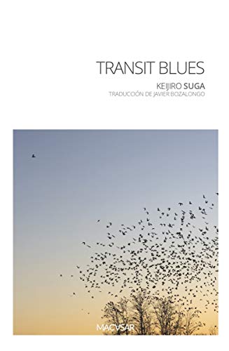 Stock image for TRANSIT BLUES for sale by KALAMO LIBROS, S.L.
