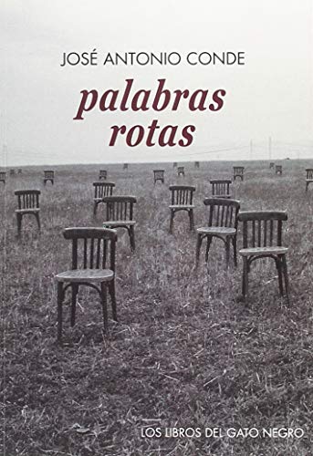 Imagen de archivo de PALABRAS ROTAS a la venta por AG Library