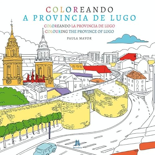 Stock image for COLOREANDO A PROVINCIA DE LUGO for sale by Siglo Actual libros