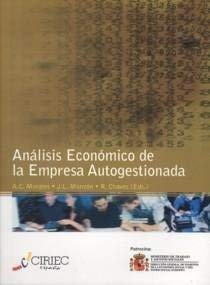 Stock image for Analisis Economico de la Empresa Autogestionada for sale by Hamelyn