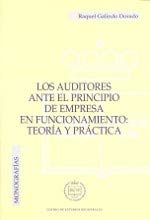 9788495240507: AUDITORES ANTE EL PRINCIPIO DE EMPRESA EN FUNCIONAMIENTO:TEO (SIN COLECCION)