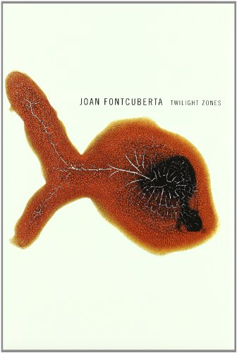 Stock image for Joan Fontcuberta : Twilight Zones for sale by Mahler Books