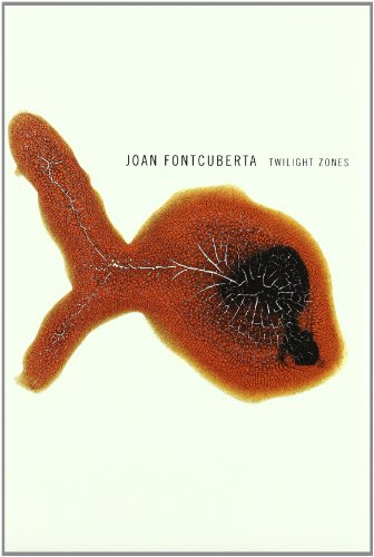 9788495273154: Joan Fontcuberta: Twilight Zones