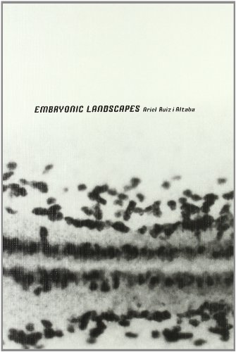 Beispielbild fr Ariel Ruiz i Altaba: Embryonic Landscapes zum Verkauf von Ergodebooks