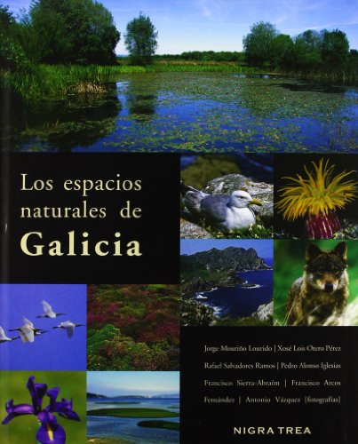Beispielbild fr LOS ESPACIOS NATURALES DE GALICIA zum Verkauf von Librerias Prometeo y Proteo