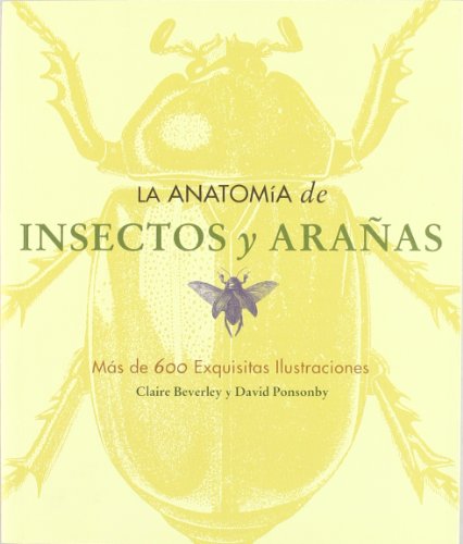 Stock image for La anatoma de insectos y arañas for sale by Pearlydewdrops