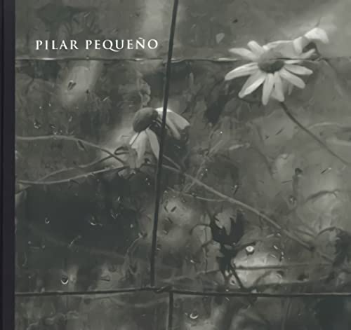 9788495952028: Pilar Pequeo