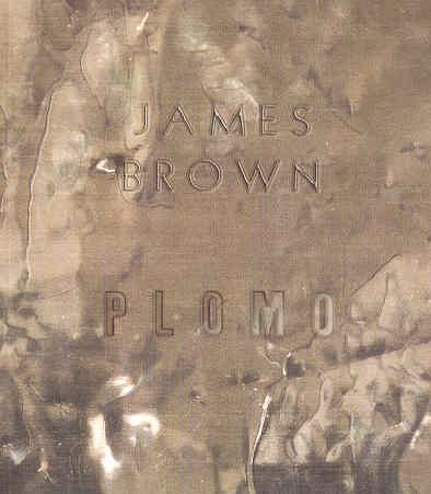 Imagen de archivo de James Brown : Plomo. Cacmlaga / Centro de Arte Contemporaneo de Malaga 18 julio - 7 septiembre 2003. a la venta por Antiquariat KAMAS