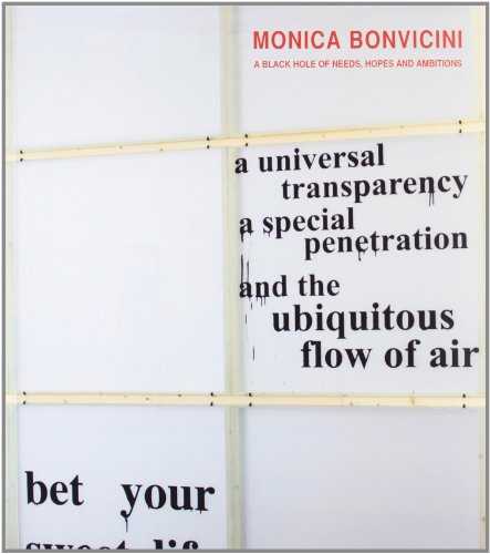 Monica Bonvicini - A Black Hole Of Needs, Hopes And Ambitions (English and Spanish Edition) (9788496159990) by Carson Chan