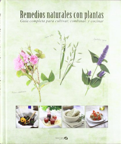 Imagen de archivo de Remedios naturales con plantas a la venta por Iridium_Books