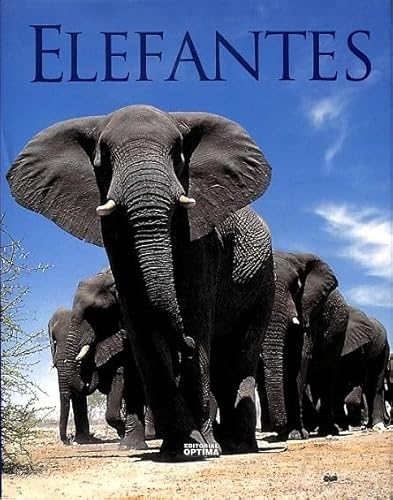 Stock image for Elefantes for sale by Librera Prez Galds