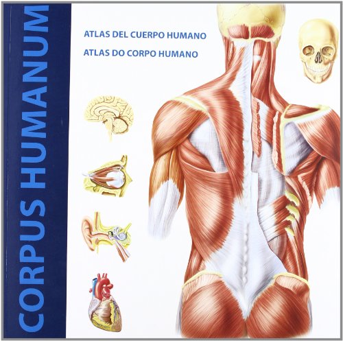 Imagen de archivo de Corpus Humanum - Atlas Del Cuerpo Humano a la venta por Hamelyn