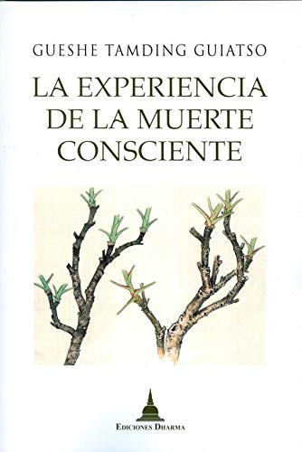 Imagen de archivo de LA EXPERIENCIA DE LA MUERTE CONSCIENTE a la venta por KALAMO LIBROS, S.L.