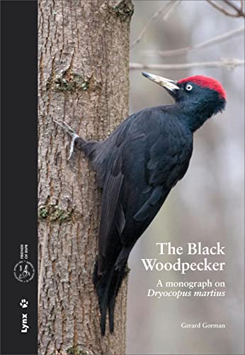 The Black Woodpecker: A monograph on Dryocopus martius (9788496553798) by Gorman, Gerard