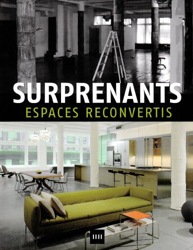 Beispielbild fr Surprenants espaces reconvertis zum Verkauf von Ammareal