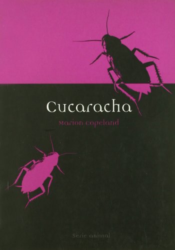 Beispielbild fr Cucaracha (Animal) zum Verkauf von medimops