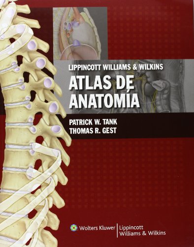 Stock image for LWW atlas de anatoma (Spanish EditioTank, Patrick W.; Gest, Thomas R for sale by Iridium_Books