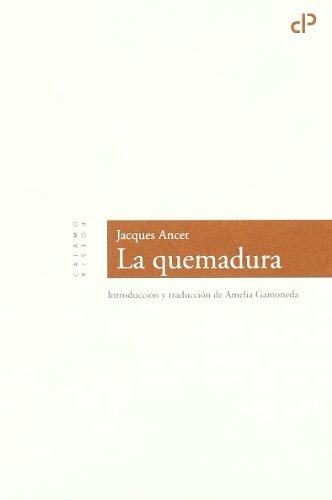 Beispielbild fr LA QUEMADURA zum Verkauf von KALAMO LIBROS, S.L.