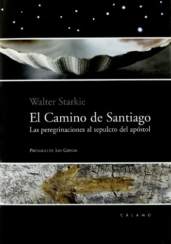 Imagen de archivo de CAMINO DE SANTIAGO.PEREGRINACIONES(CALAMO) (Pasajero) a la venta por medimops
