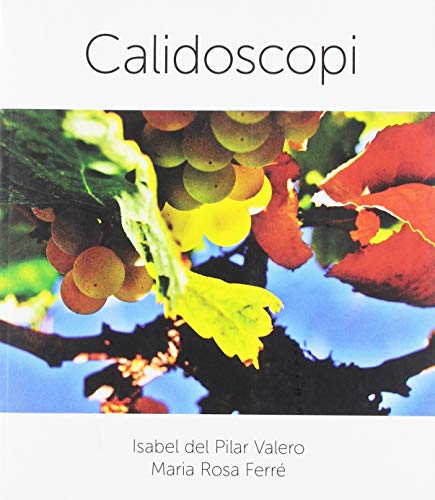 Stock image for Calidoscopi for sale by AG Library