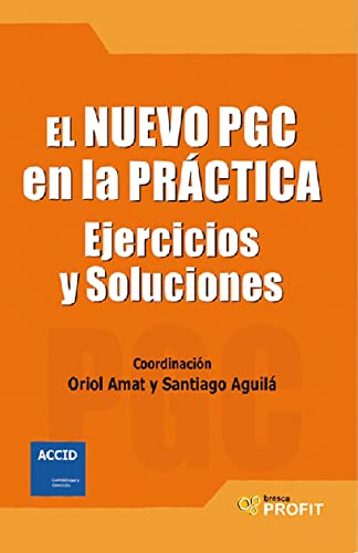 Stock image for El nuevo PGC en la prctica : ejercicios y soluciones for sale by medimops