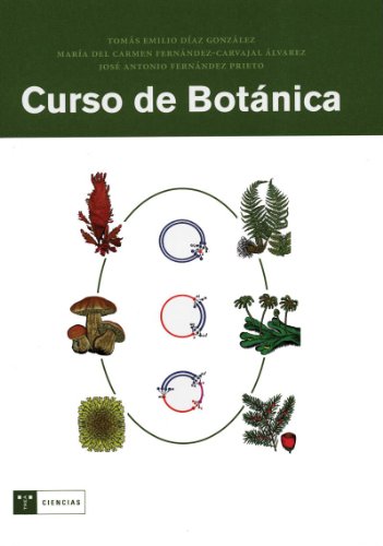 Beispielbild fr CURSO DE BOTNICA zum Verkauf von Zilis Select Books