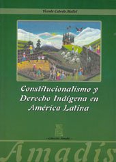 Imagen de archivo de CONSTITUCIONALISMO Y DERECHO INDGENA EN AMRICA LATINA a la venta por Hilando Libros