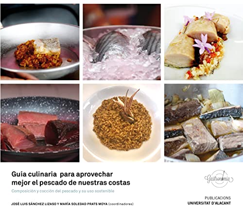 Imagen de archivo de GUIA CULINARIA PARA APROVECHAR MEJOR EL PESCADO DE NUESTRAS COSTAS. COMPOSICIN Y COCCIN DEL PESCADO Y SU USO SOSTENIBLE a la venta por KALAMO LIBROS, S.L.