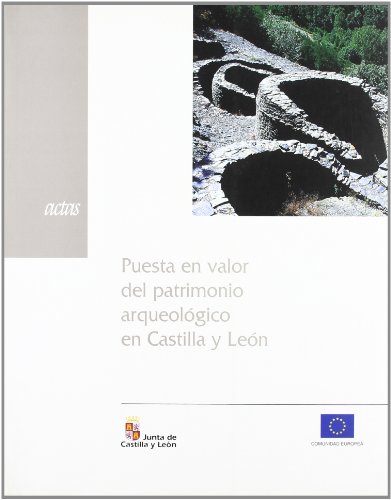 Puesta en valor del patrimonio arqueológico en Castilla y León