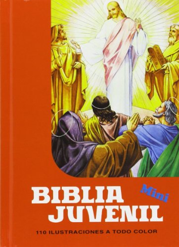 Imagen de archivo de MINI BIBLIA JUVENIL MOD. 1 a la venta por Iridium_Books