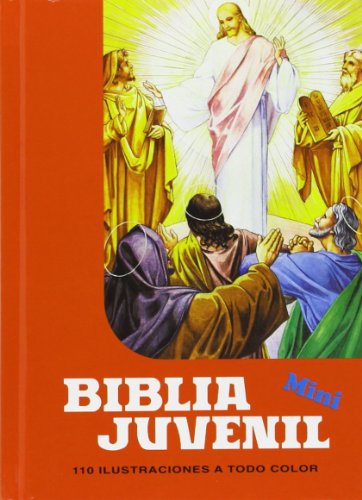 Stock image for Mini Biblia Juvenil Mod. 1 (Spanish Edition) for sale by SecondSale