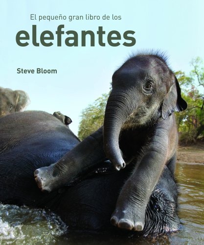 Imagen de archivo de El pequeno gran libro de los elefantes/ Elephants a Book for Children a la venta por Revaluation Books