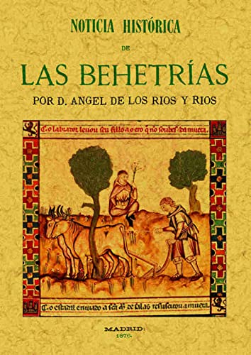 Imagen de archivo de NOTICIA HISTORICA DE LAS BEHETRIAS,PRIMITIVAS LIBERTADES CASTELLANAS a la venta por KALAMO LIBROS, S.L.