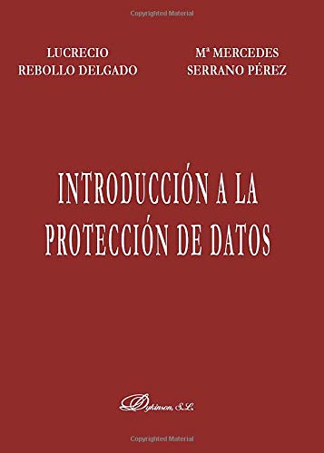 Imagen de archivo de INTRODUCCIN A LA PROTECCIN DE DATOS (Madrid, 2006) a la venta por Multilibro