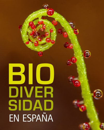 Beispielbild fr Biodiversidad en Espa?a zum Verkauf von Reuseabook