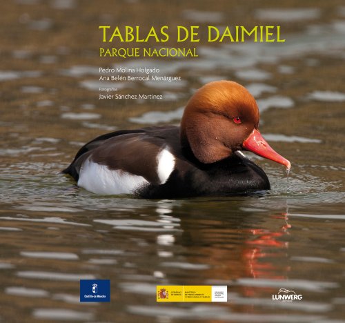 Imagen de archivo de LAS TABLAS DE DAIMIEL: Parque Nacional a la venta por KALAMO LIBROS, S.L.