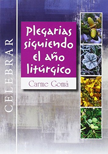 Stock image for PLEGARIAS SIGUIENDO EL AO LITURGICO for sale by Siglo Actual libros