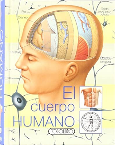 Beispielbild fr El Cuerpo Humano zum Verkauf von Hamelyn